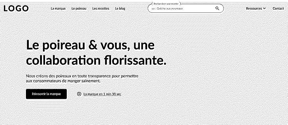 Wireframe représentant la section d'accueil d'un site web d'une filière de légume frais avec des recettes